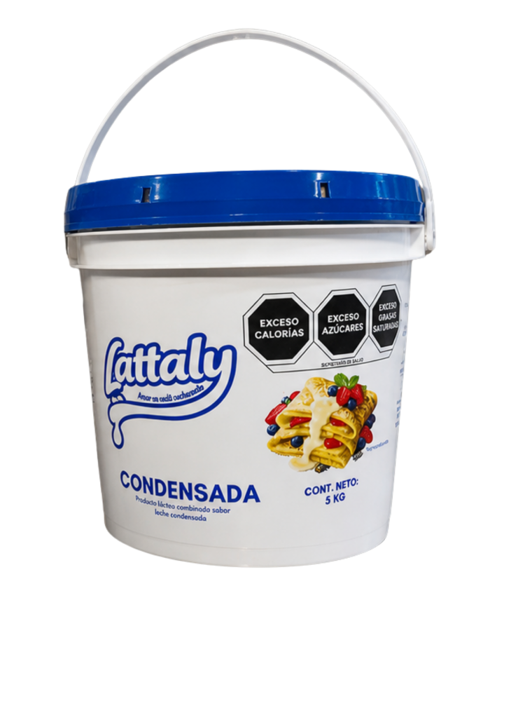 Producto Lácteo Combinado Sabor Leche Condensada Cubeta