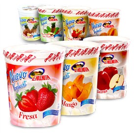 Yoghurt Durazno Chilchota 