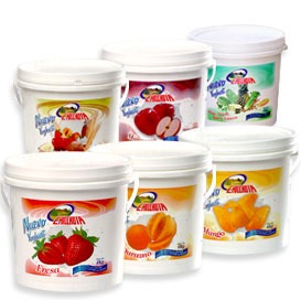 Yoghurt Durazno Chilchota 