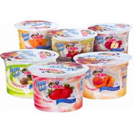 Yoghurt Manzana Chilchota 